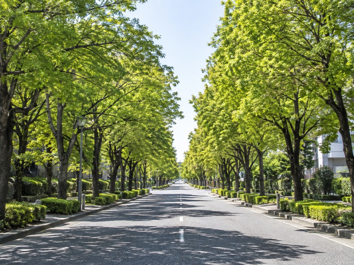 街路樹の復旧施工例